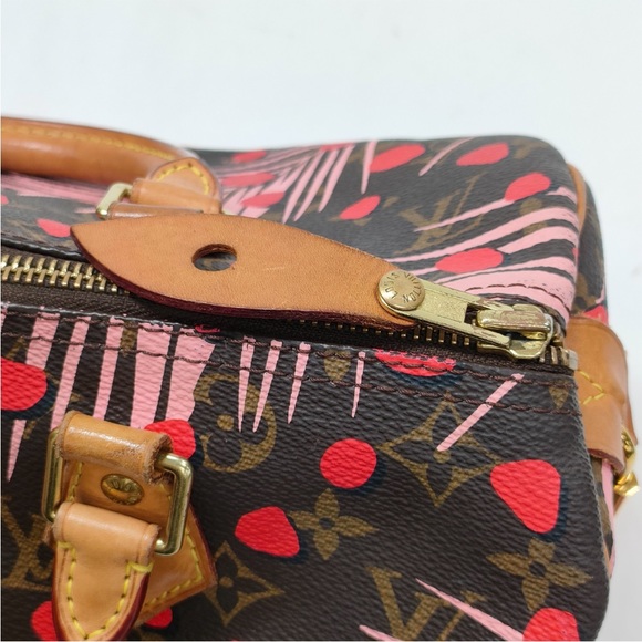 Louis Vuitton Jungle Palm Spring Speedy 30 - Picture 14 of 16